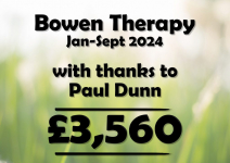 Bowen Therapy - Paul Dunn - £3,560